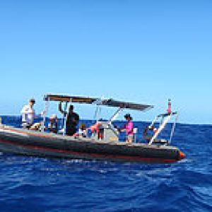 Open Water Safety training for Kona Ocean Experience Captains and crew