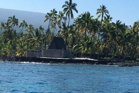 Hut among palm trees on a coastline with clear blue water in the foreground.