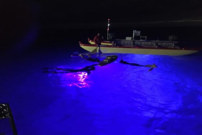 Person on a boat at night with blue bioluminescent water glowing around them.