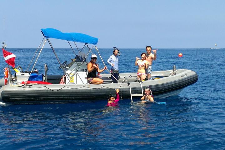 Wild Dolphin Swim & snorkel Kealakekua Bay