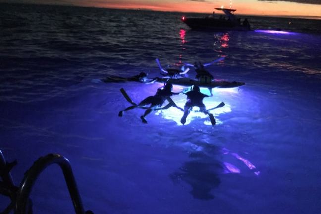 Three people snorkeling under glowing water at dusk with a boat nearby.