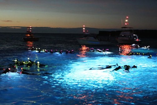 Divers with lights in the ocean at night near boats, creating a glowing effect on the water.