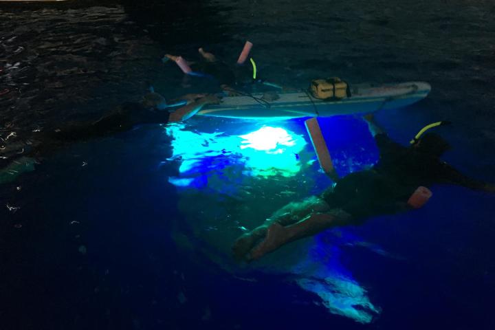 Manta Ray Night Snorkel with Kona Ocean Experience