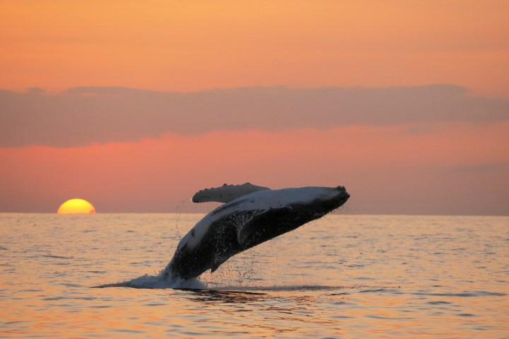 a sunset over a body of water
