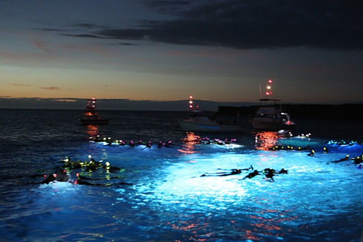 a small boat in a body of water