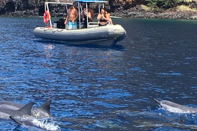 People on a small boat observing dolphins swimming in blue water.